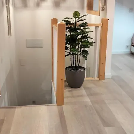 Casa Dositeo 萨里亚